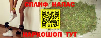 МДПВ Моздок