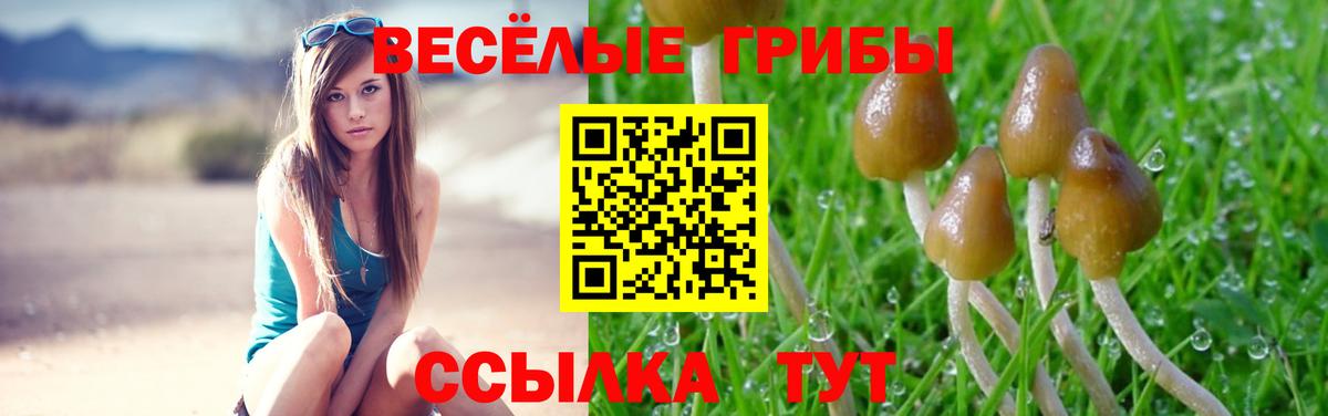 Псилоцибиновые грибы MAGIC MUSHROOMS  Вход с VPN  Псилоцибиновые грибы прущие грибы  Шелехов 